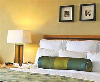 Hotel Mb International Palace Side Mysore